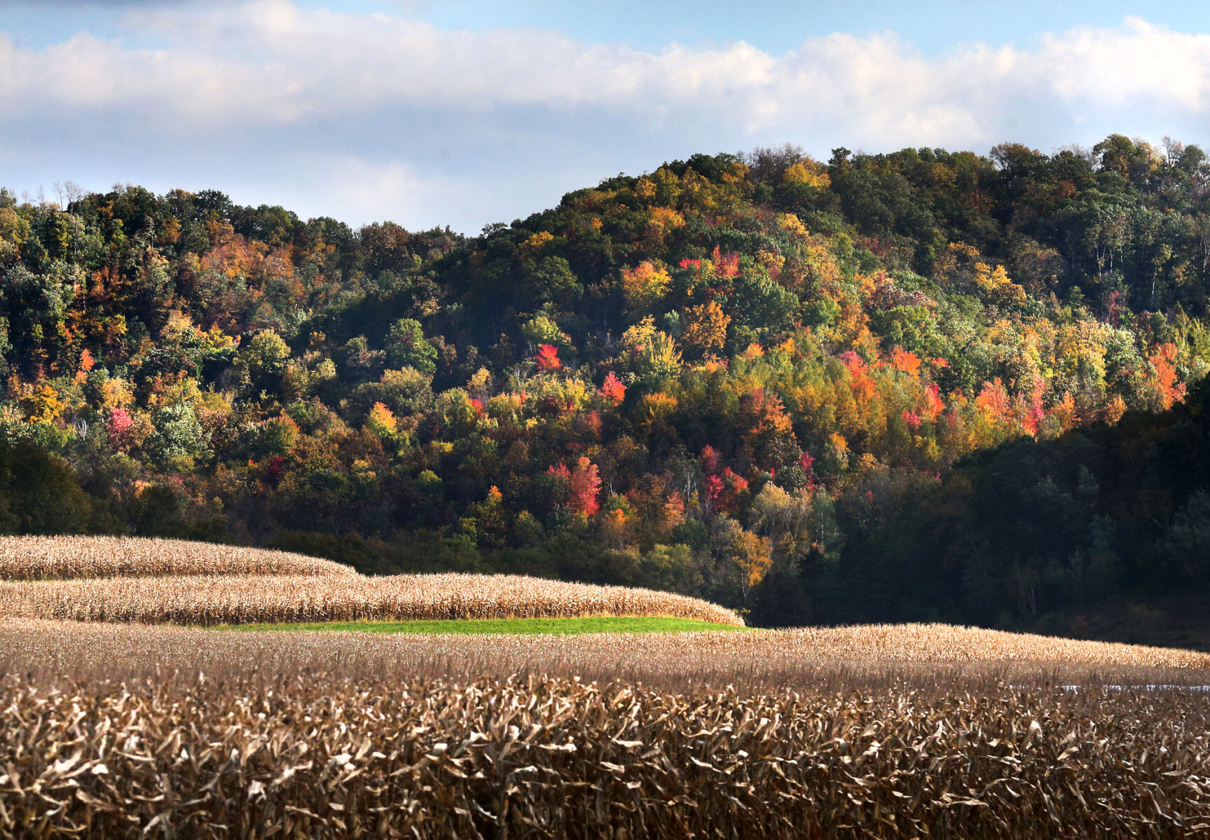 Autumn on the farm